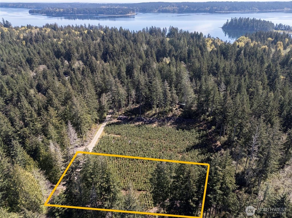 Photo of 103 Andrejs Road, Shelton, WA 98584 (MLS # 2506757)