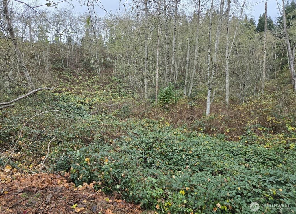 Photo of 8201 5th Avenue W, Everett, WA 98204 (MLS # 2469289)