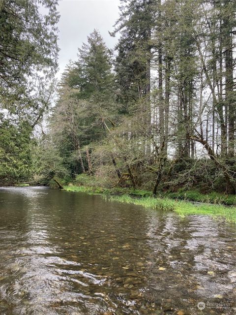 0 East of Bingham Creek Elma WA 98541