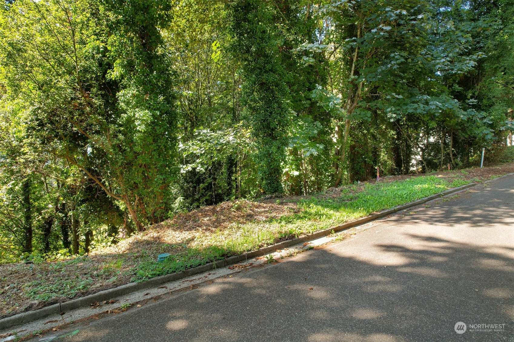 Bellingham, Washington 98229, United States, ,Land,Active,45438