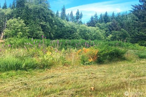 Photo of 0 South Valley Road #Lot 5, Naselle, WA 98638 (MLS # 2374927)
