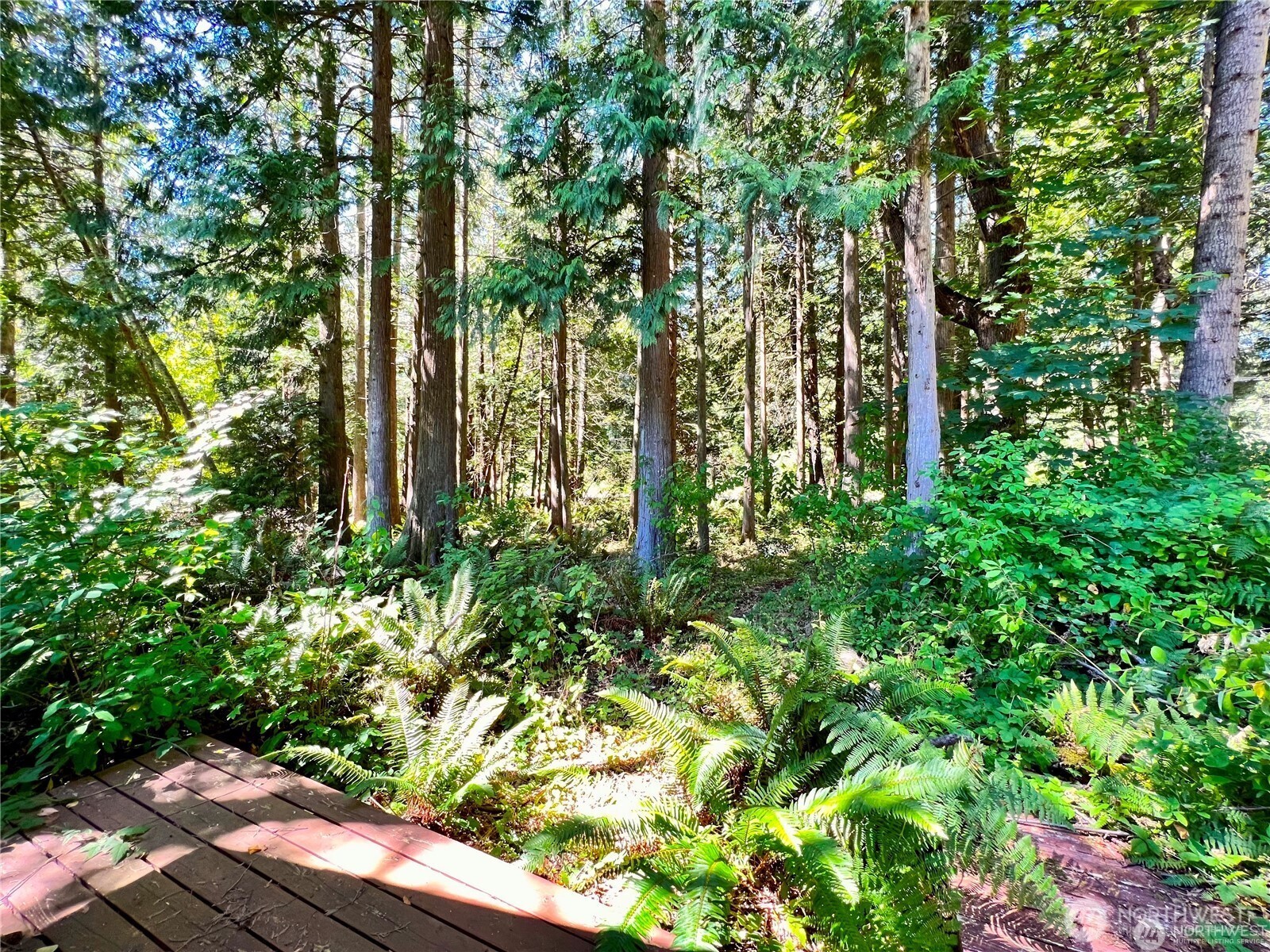 158 Tyee Drive