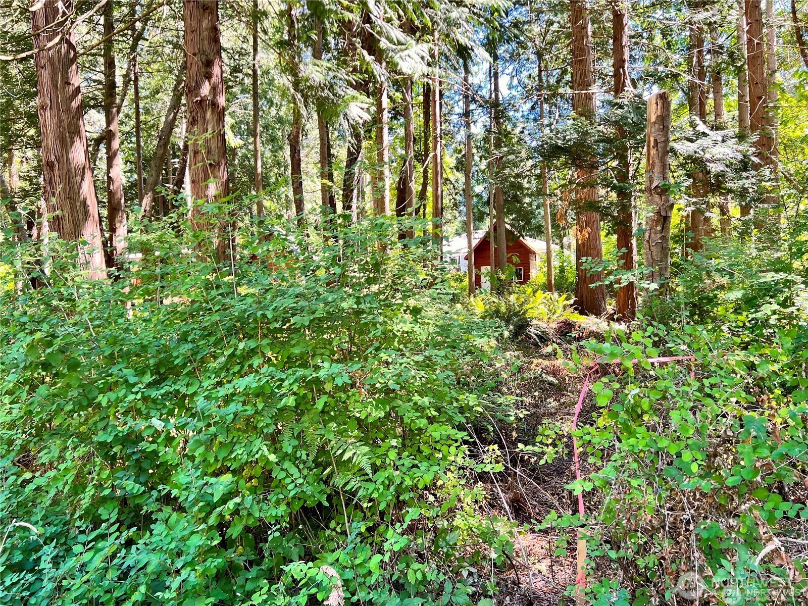 158 Tyee Drive