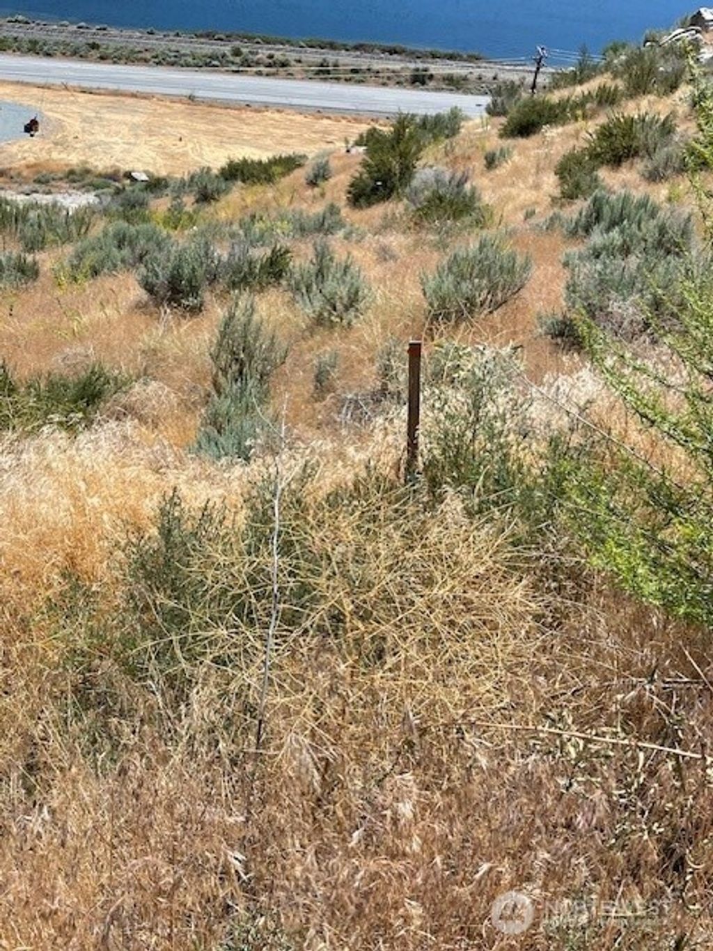 Photo of 37 Osprey Nest Road, Pateros, WA 98846 (MLS # 2479392)