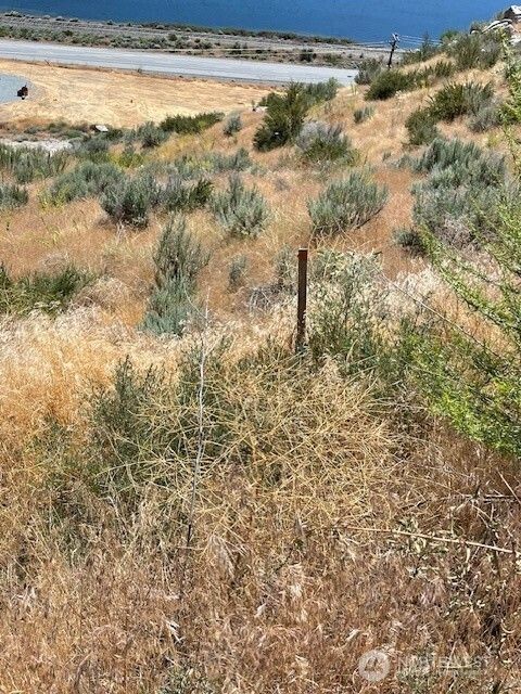 Photo of 37 Osprey Nest Road, Pateros, WA 98846 (MLS # 2479392)