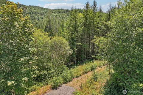 Photo of 172 Mohawk Lane, Amboy, WA 98601 (MLS # 2558200)
