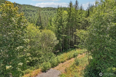 172 Mohawk Lane Amboy WA 98601
