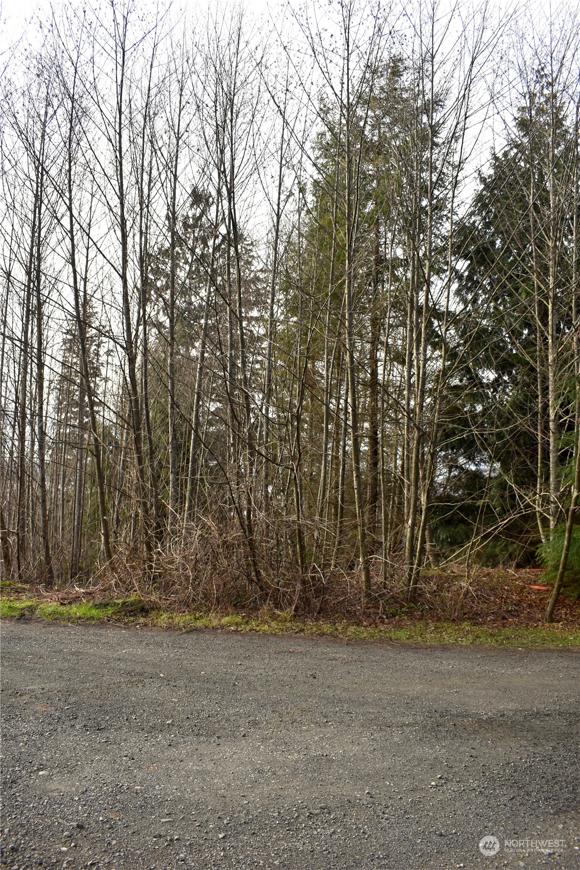 0 X Beacon Hill Drive