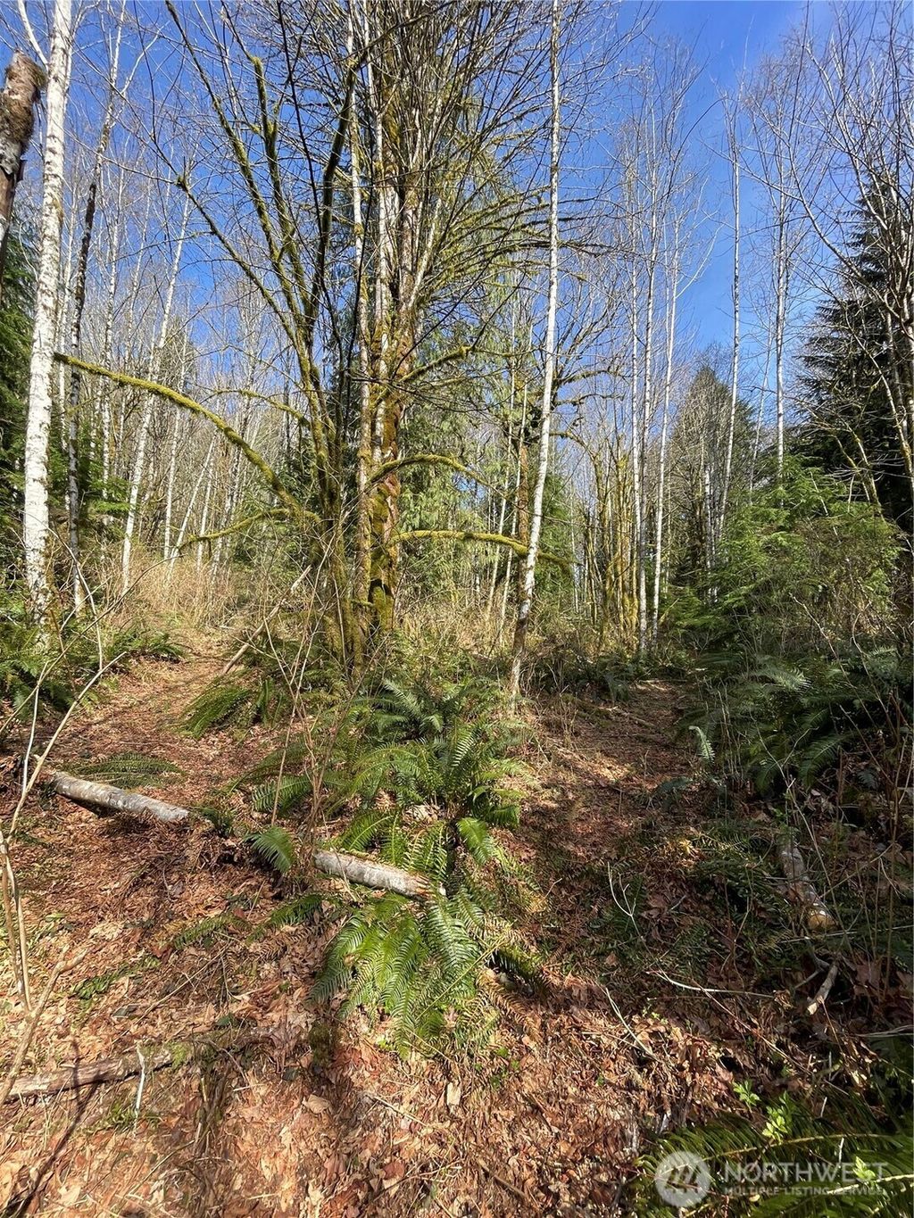 Photo of Arlington, WA 98223 (MLS # 2519623)