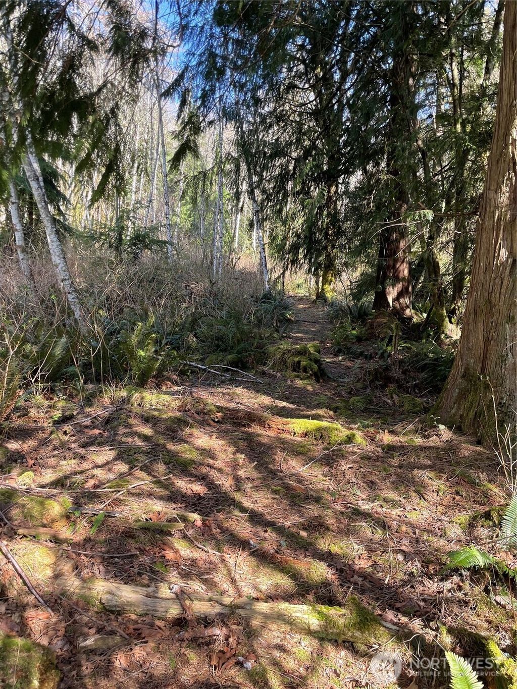 Photo of Arlington, WA 98223 (MLS # 2519623)