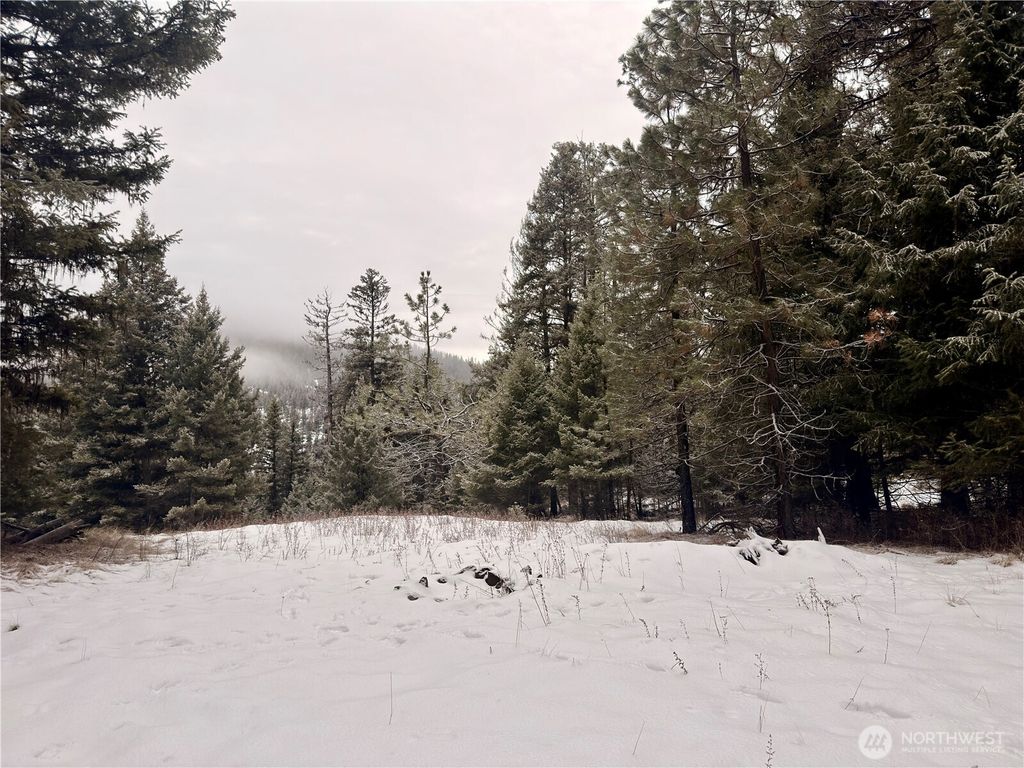 Photo of 25 Miner's Ridge Road, Oroville, WA 98844 (MLS # 2467149)