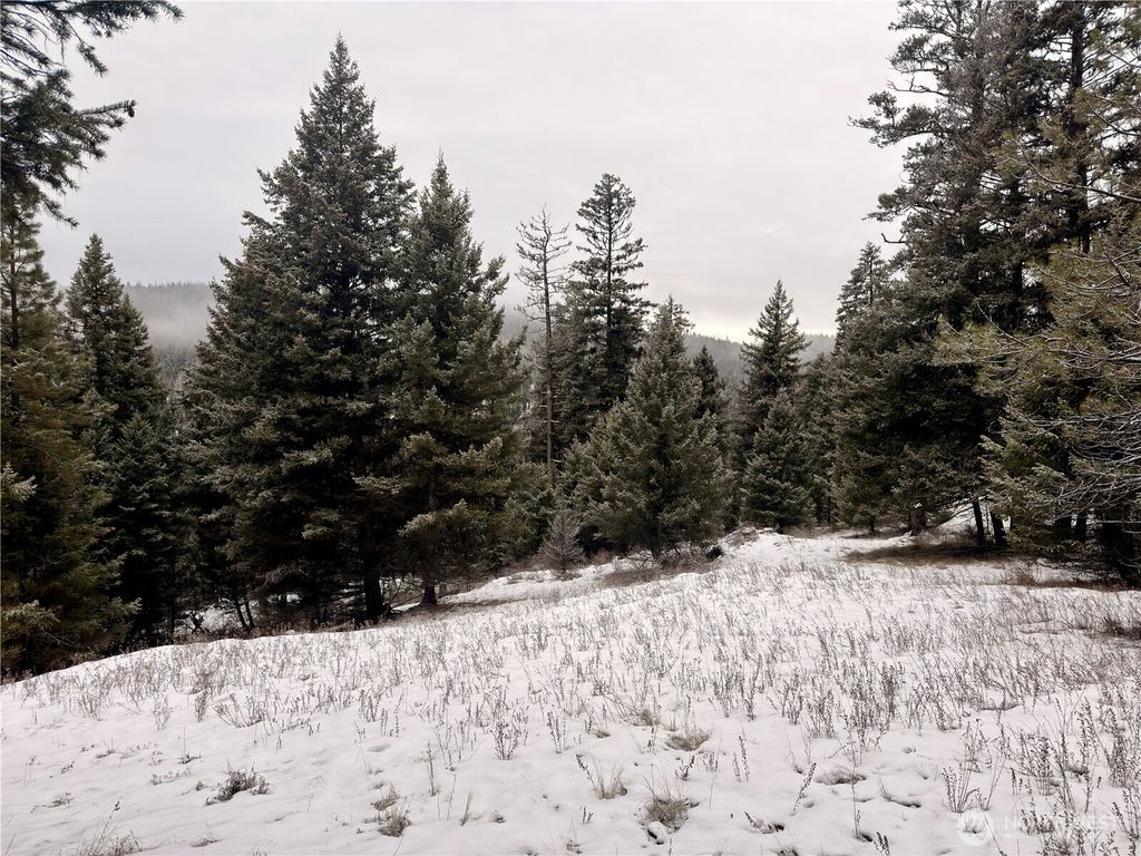 Photo of 25 Miner's Ridge Road, Oroville, WA 98844 (MLS # 2467149)