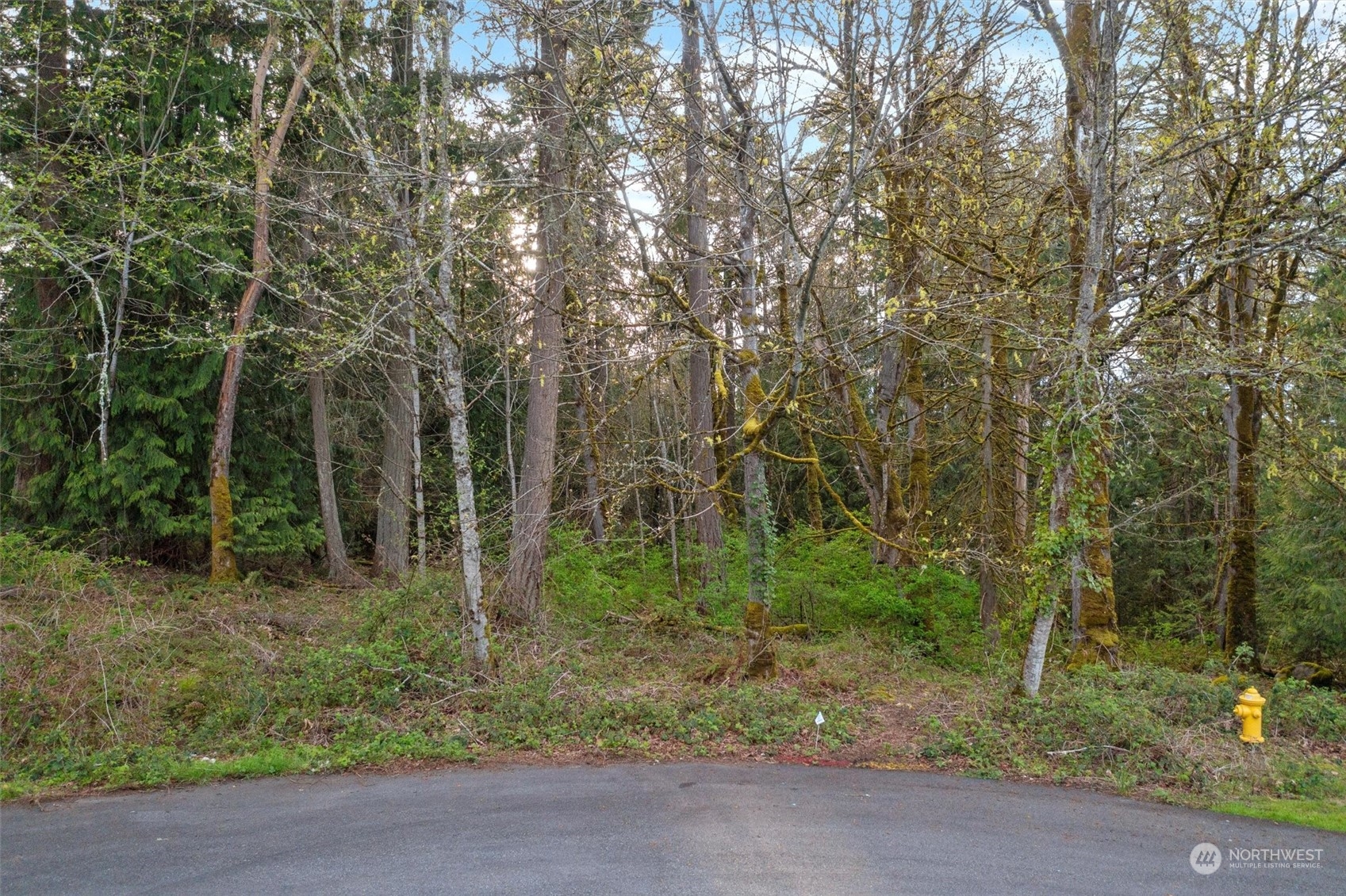 19700 SE 17th Street