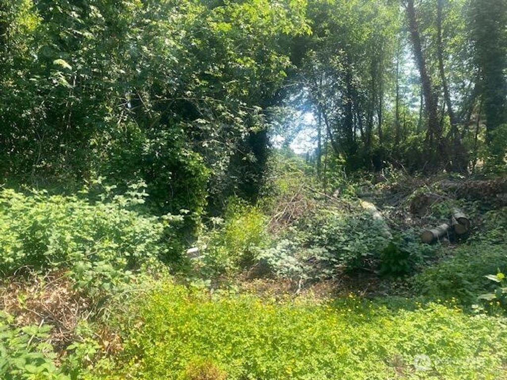 Photo of 0 Arrowsmith Avenue S, Seattle, WA 98118 (MLS # 2386284)