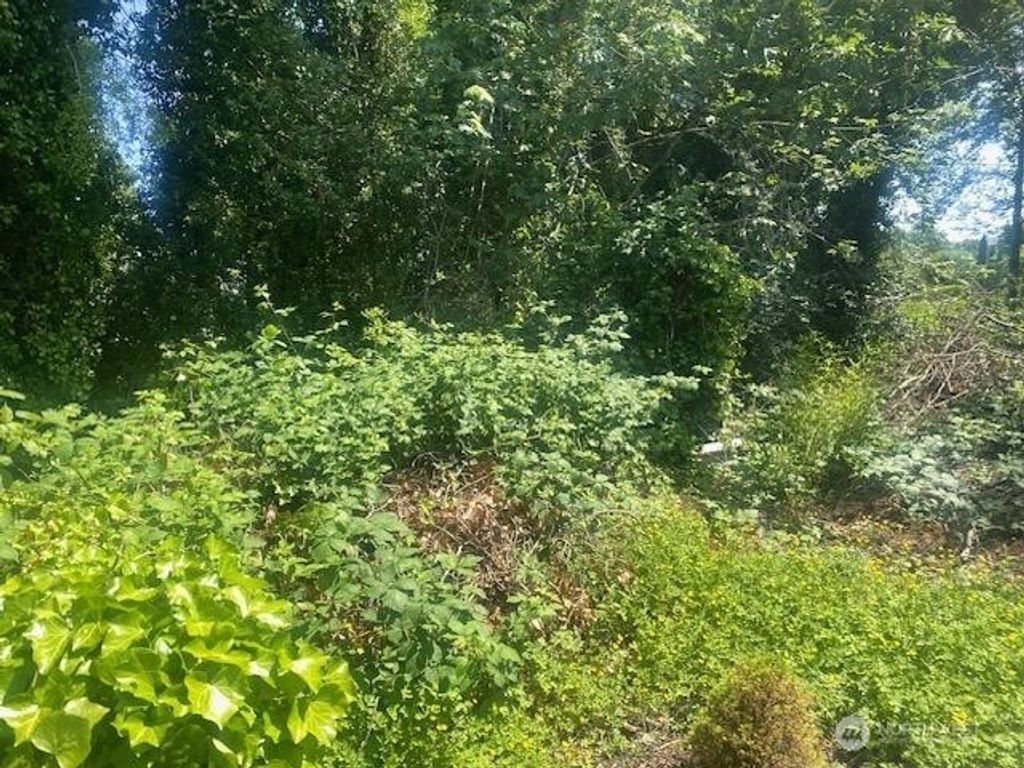 Photo of 0 Arrowsmith Avenue S, Seattle, WA 98118 (MLS # 2386284)