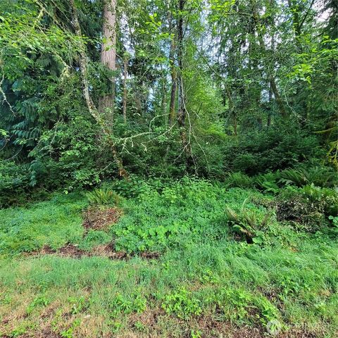 Photo of 12726 96th Street Ct, Anderson Island, WA 98303 (MLS # 2441238)