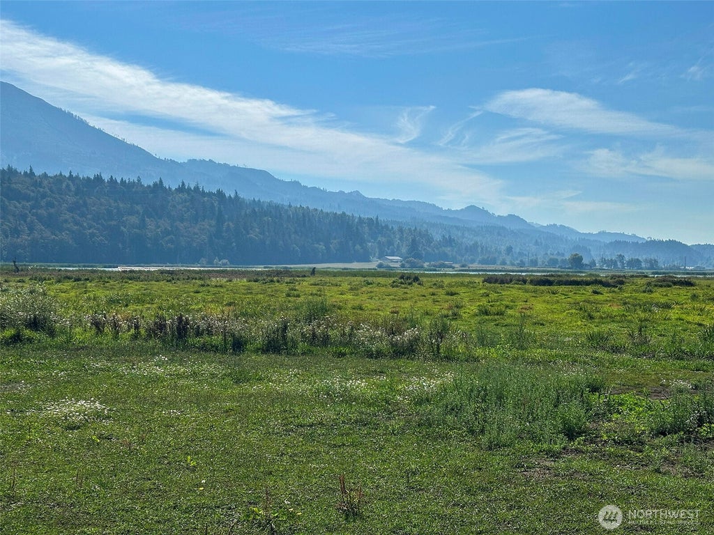 Photo of 0 XXX Fox Road, Clear Lake, WA 98235 (MLS # 2578678)