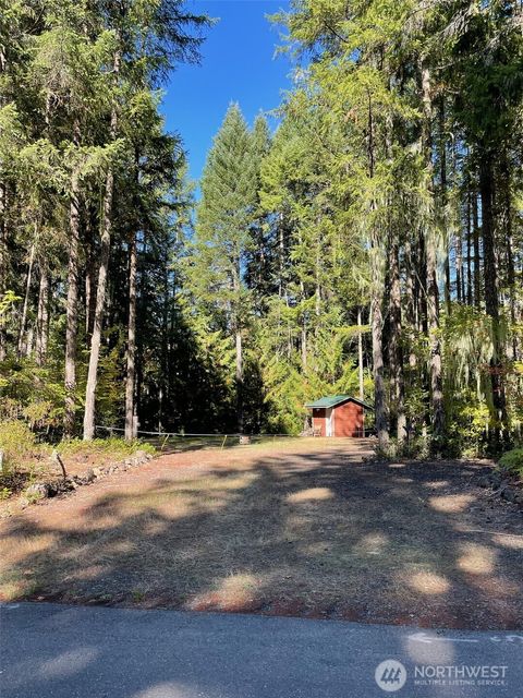 Photo of 20 Oxbow Place, Hoodsport, WA 98548 (MLS # 2506711)