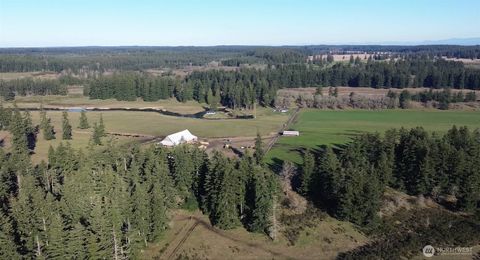 Photo of 13911 Military Road SE, Tenino, WA 98589 (MLS # 2430927)