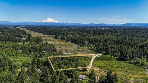 Photo of 0 82nd Avenue S, Roy, WA 98580 (MLS # 2382695)