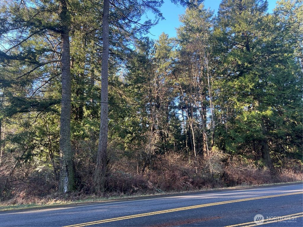 Photo of 0 Tyee Drive, Point Roberts, WA 98281 (MLS # 2469067)