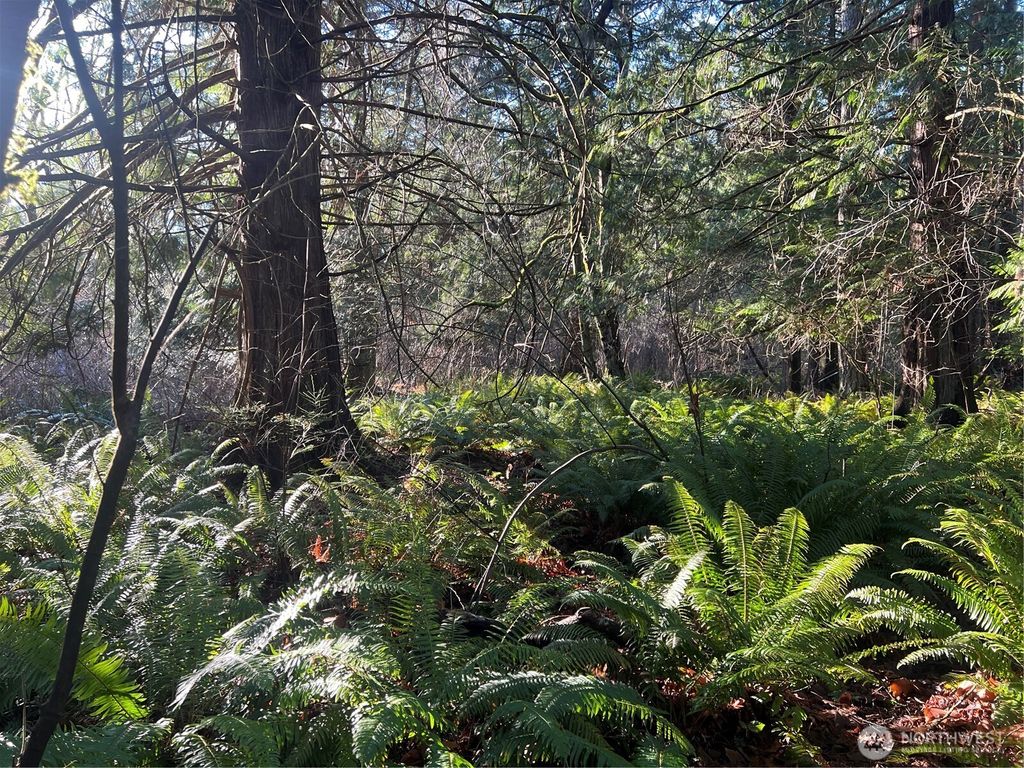 Photo of 0 Tyee Drive, Point Roberts, WA 98281 (MLS # 2469067)