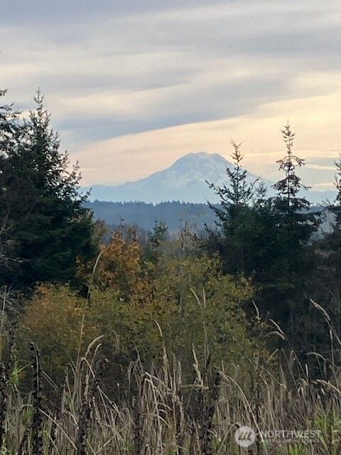 Photo of 2 E Lone Fir Drive Drive E #Div 2, Shelton, WA 98584 (MLS # 2505418)