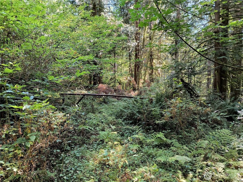 Photo of 300000 Draggart, Monroe, WA 98272 (MLS # 2453341)