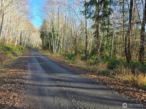 0 Fall River Road Cosmopolis WA 98537