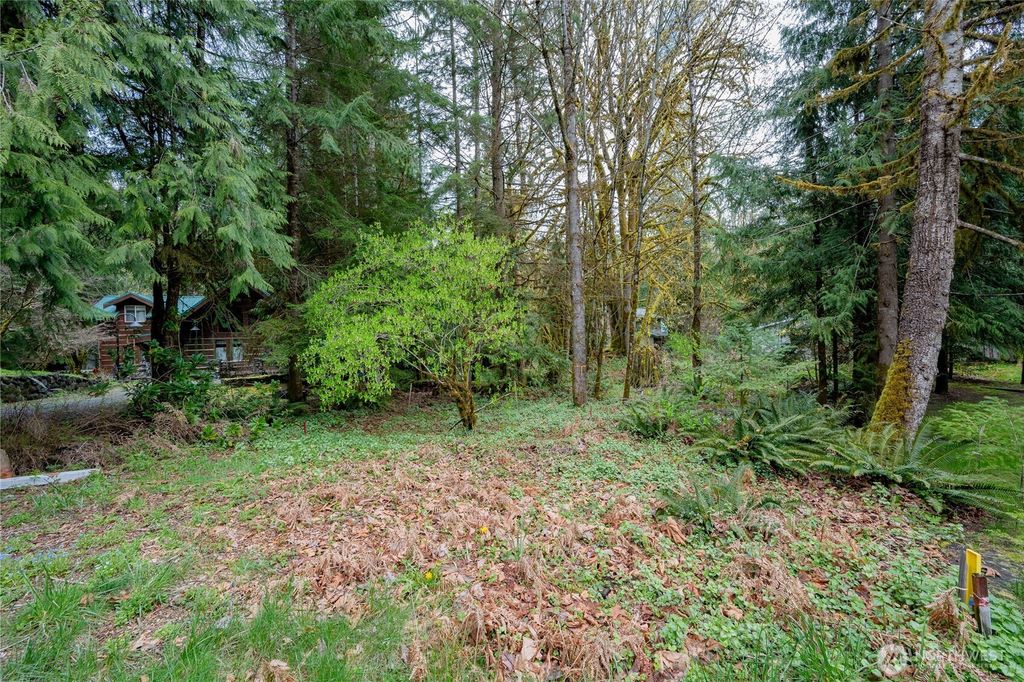 Photo of 14039 Chimney Lane, Deming, WA 98244 (MLS # 2485045)