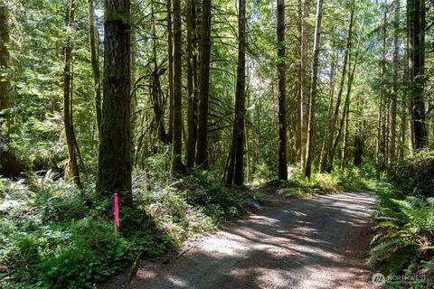 Photo of 1781 E Sunset Hill Road, Shelton, WA 98584 (MLS # 2540063)