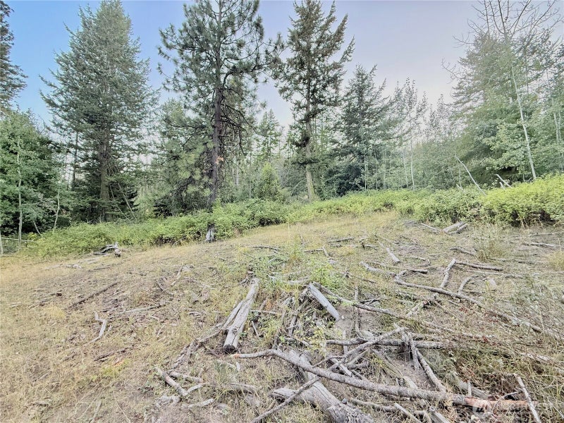 0 TBD Buzzard Lake Road