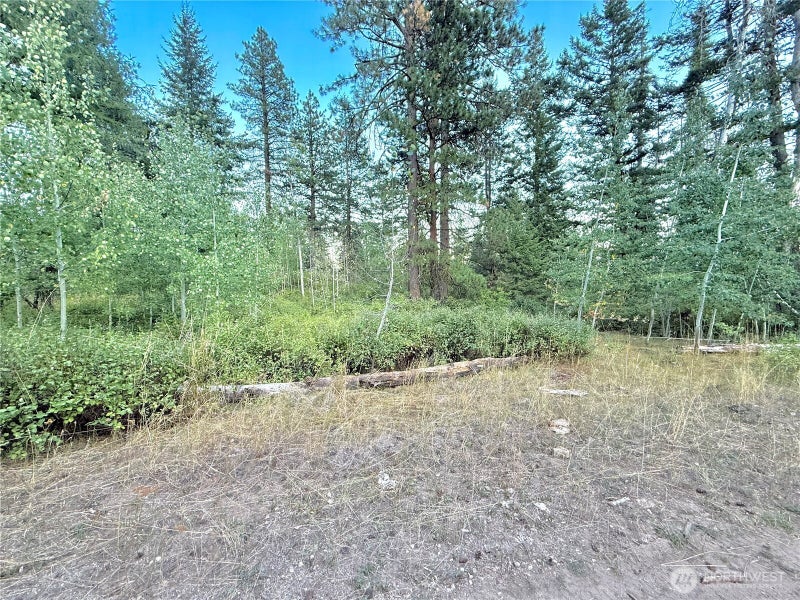0 TBD Buzzard Lake Road