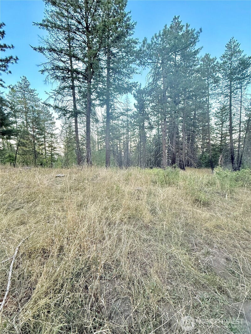 0 TBD Buzzard Lake Road