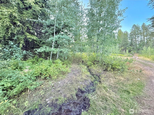 BUZZARD LAKE RD, OKANOGAN, WA 98840 - Image e410189b22b87e3e90cd2a529c6f2a9f/582065017