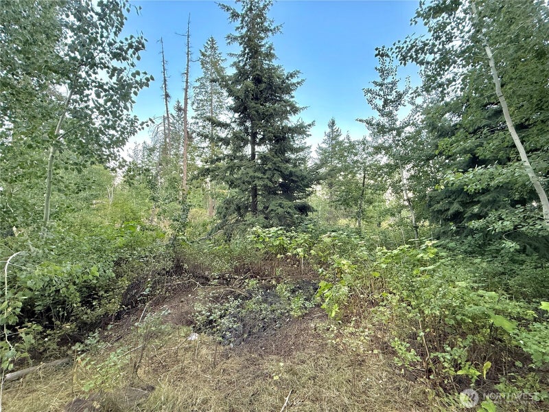 0 TBD Buzzard Lake Road