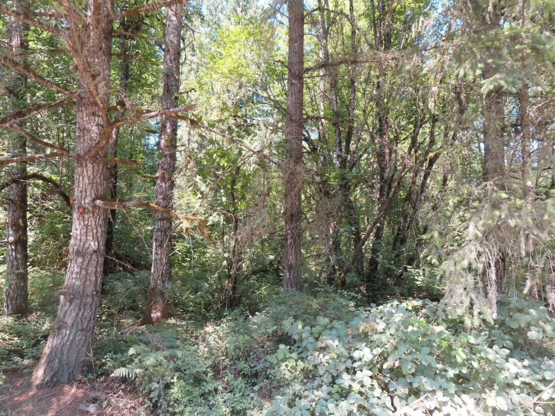 115 Campground Lane