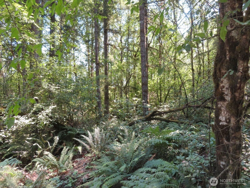 115 Campground Lane
