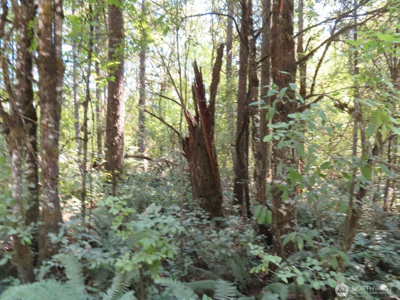 115 Campground Lane