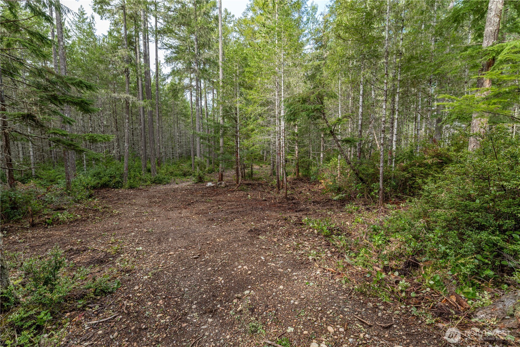 230 E Blackberry Lane