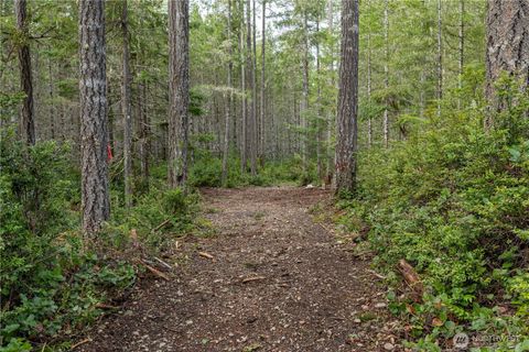 230 E Blackberry Lane Union WA 98592