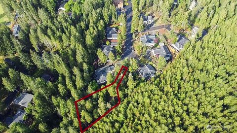 230 E Blackberry Lane Union WA 98592