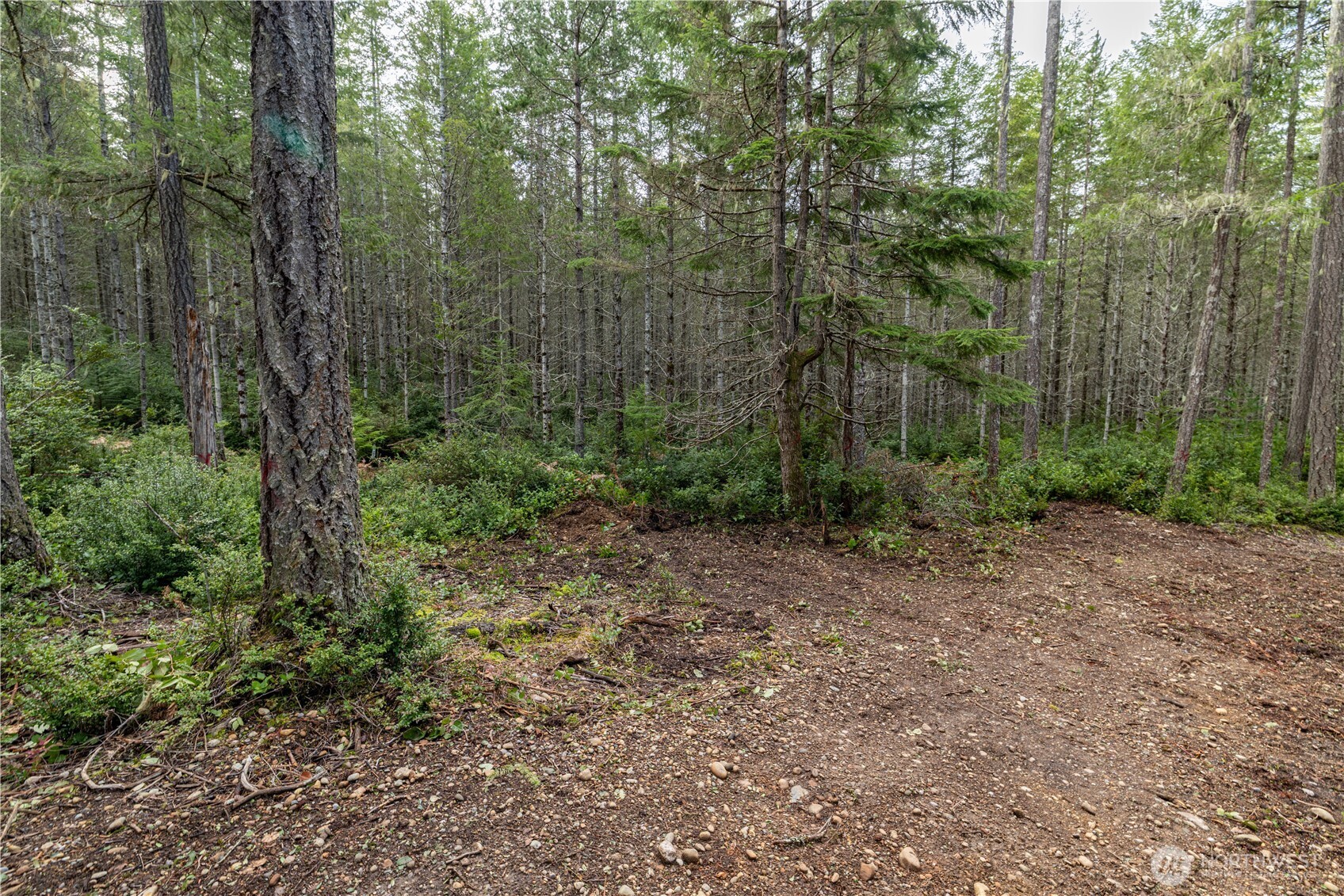 230 E Blackberry Lane