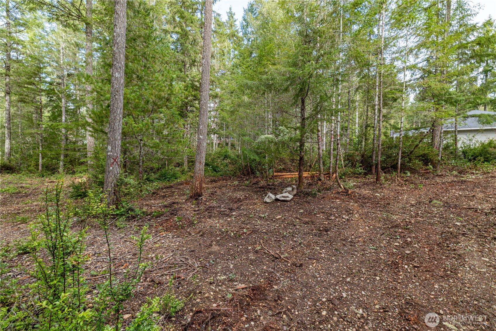 230 E Blackberry Lane