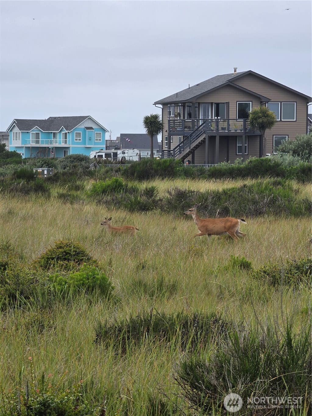 Photo of 1440 Ocean Crest Avenue SW, Ocean Shores, WA 98569 (MLS # 2569304)