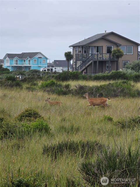 Photo of 1440 Ocean Crest Avenue SW, Ocean Shores, WA 98569 (MLS # 2569304)