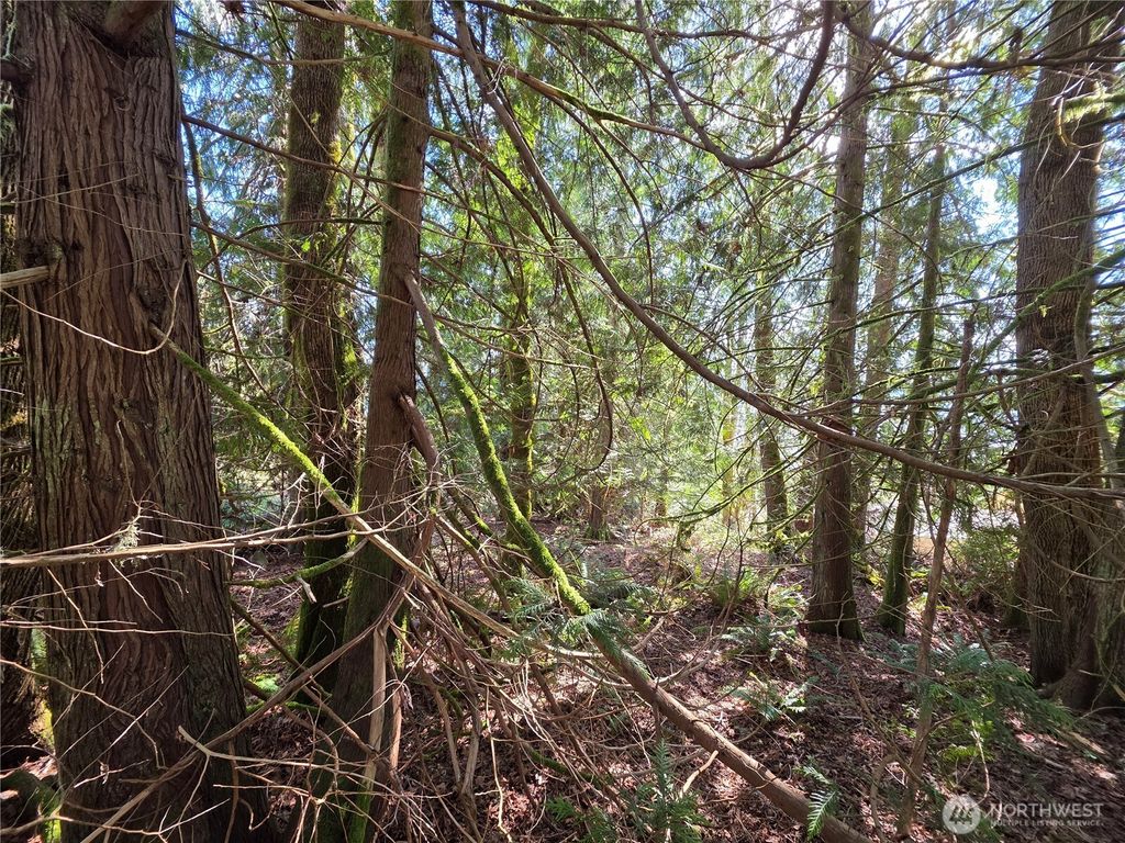 Photo of 0 Cedar Place, Brinnon, WA 98320 (MLS # 2502495)