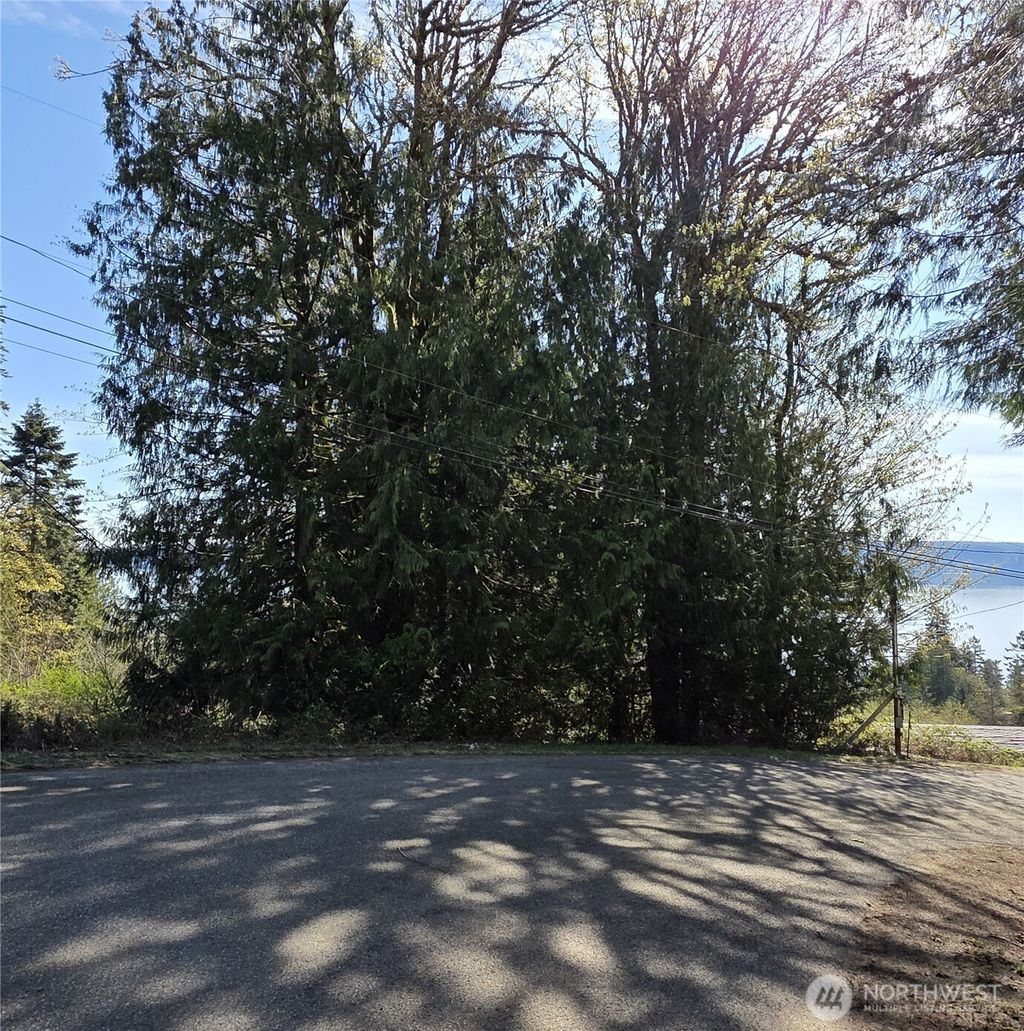 Photo of 0 Cedar Place, Brinnon, WA 98320 (MLS # 2502495)