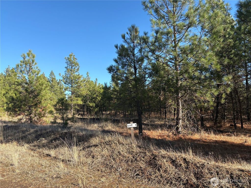 Photo of 35470 Prairie Lane N #Lot 1, Creston, WA 99117 (MLS # 2458305)