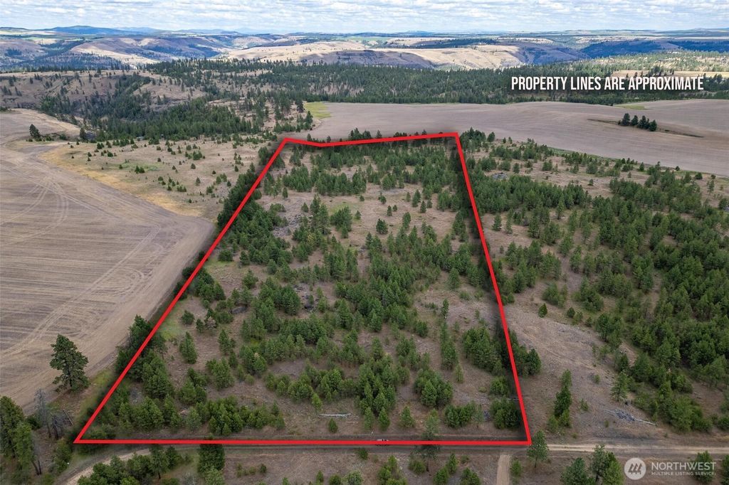 Photo of 35470 Prairie Lane N #Lot 1, Creston, WA 99117 (MLS # 2458305)